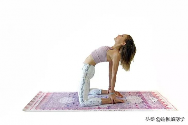 解鎖瑜伽輪式並不難，先將這套序列練上半個月