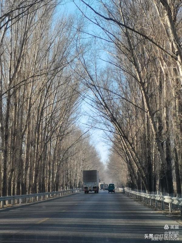 訪三位抗美援朝老兵紀實