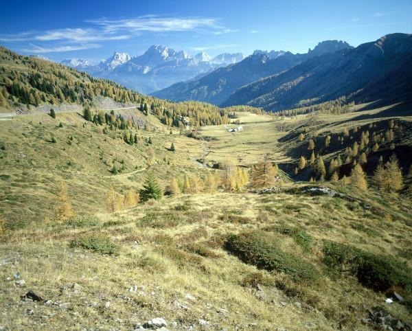 美景的初戀 美景的初戀