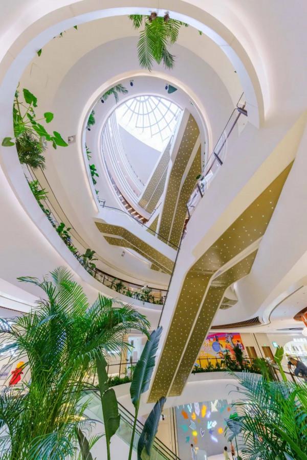 聖誕卷還是聖誕節？