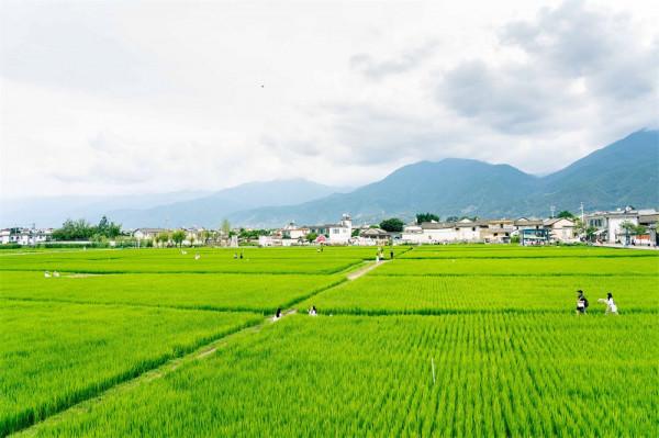 喜洲古鎮，許你一個綠野仙蹤的童話夢境