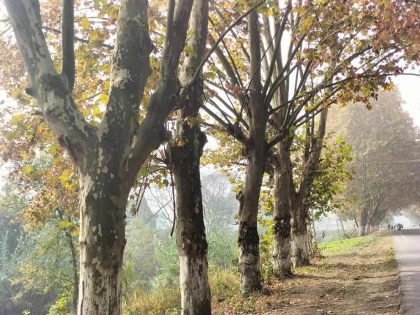 推動地攤經濟復甦，提升社會“煙火氣”迴歸，綻放基層經濟活力