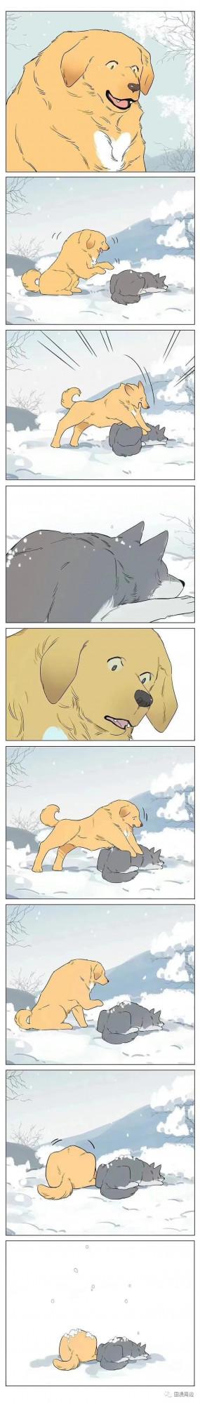 狼王撿了個小土豆：動物VS人形