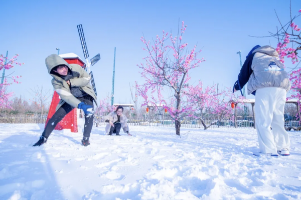 又一地開啟冰雪嘉年華！快來探尋冬日奇遇