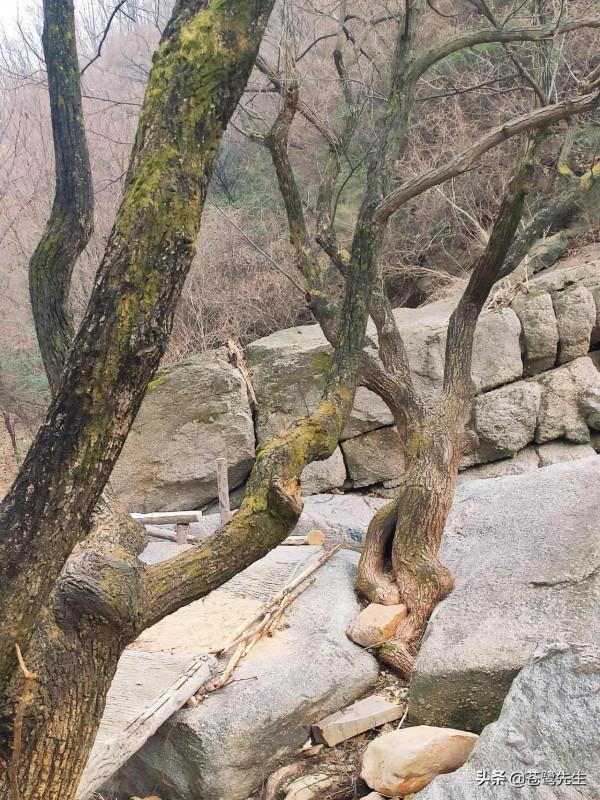 戲水玩沙、溜冰、探尋紅石。免費休閒遊玩好去處-魯山紅河谷 戲水玩沙、溜冰、探尋紅石。免費休閒遊玩好去處-魯山紅河谷