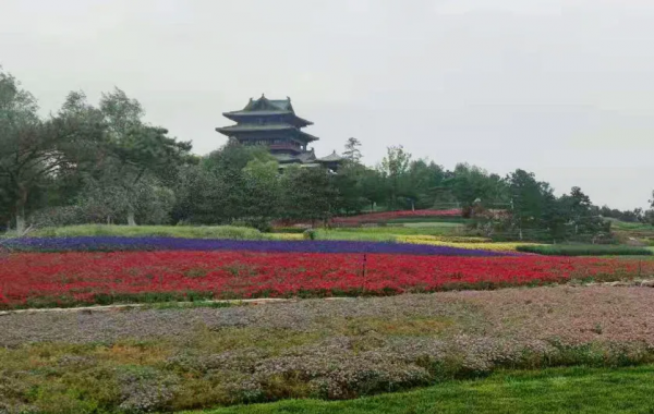 京城這個爆火的4A級景區，你打卡了嗎？快收下這份經典路線攻略，跟著走就行！