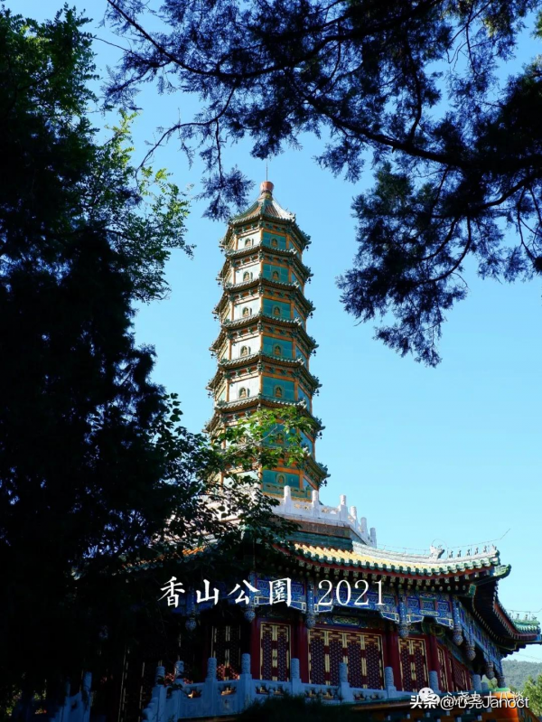 整理照片時發現十五年前拍的香山靜宜園,如今再登山找尋當年痕跡 整理照片時發現十五年前拍的香山靜宜園,如今再登山找尋當年痕跡