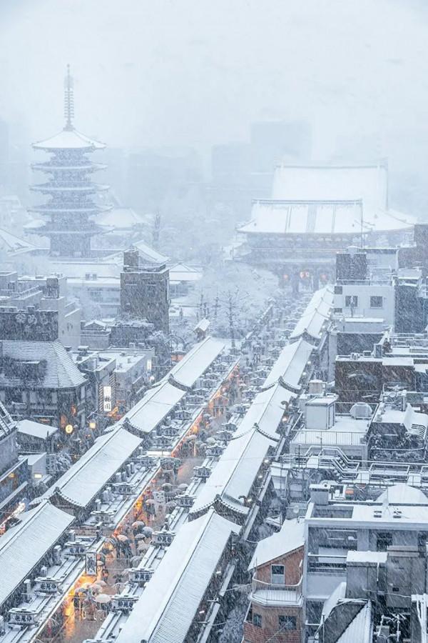 2022東京初雪,這個近45年來最冷的冬天,美翻了 2022東京初雪,這個近45年來最冷的冬天,美翻了