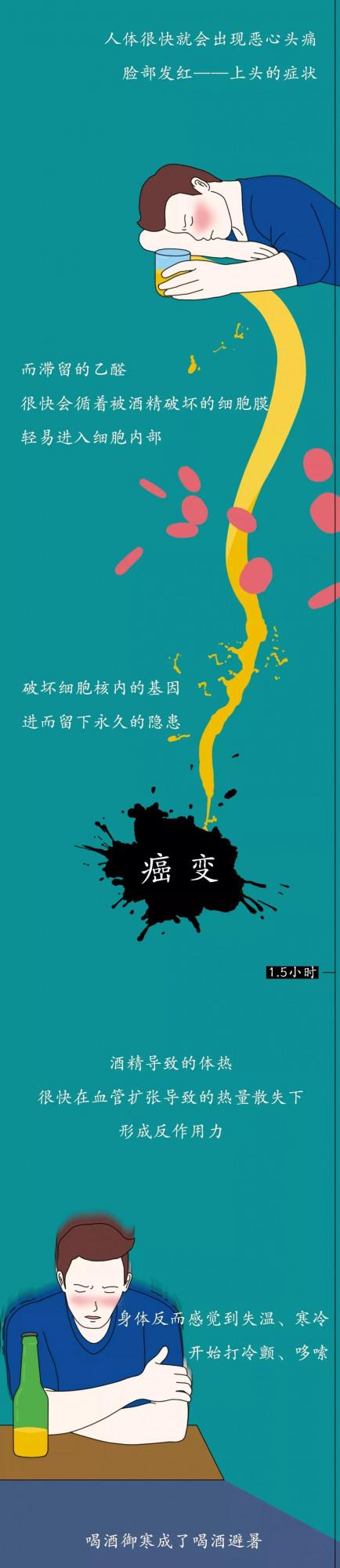 喝酒到底有多傷身？酒精進入體內的24小時，告訴你為什麼勸你戒酒