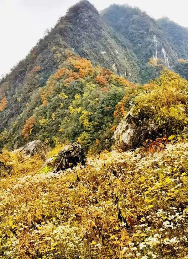 深秋,燕子巖感懷 深秋,燕子巖感懷