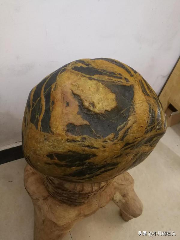 湖南小夥到一塊金包鐵金紋石，上面有一個龍頭圖案神龍見首不見尾