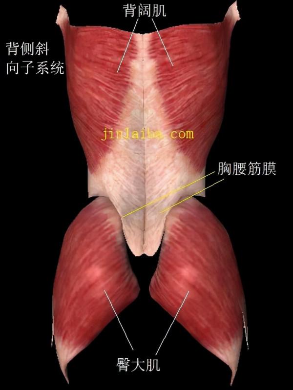 下交叉綜合徵是怎麼回事? 下交叉綜合徵是怎麼回事?