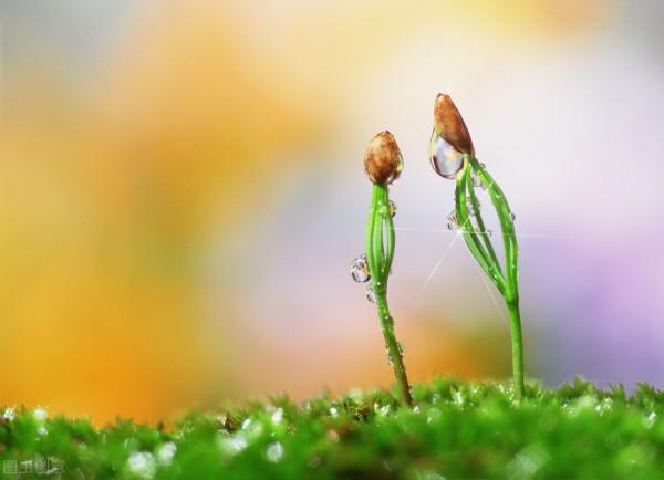 小屯貓館- 小屯貓館-