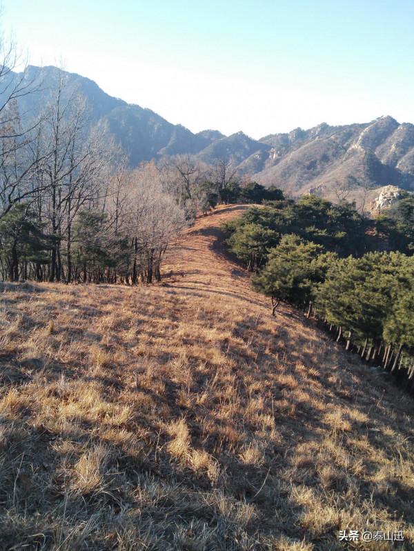 冬至驢行泰山之黃石崖，老平臺，映霞峰，桃花峪東西穿越