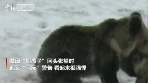 這輩子一定要去趟這個公園 在這裡“有種愛叫放手” 這輩子一定要去趟這個公園 在這裡“有種愛叫放手”