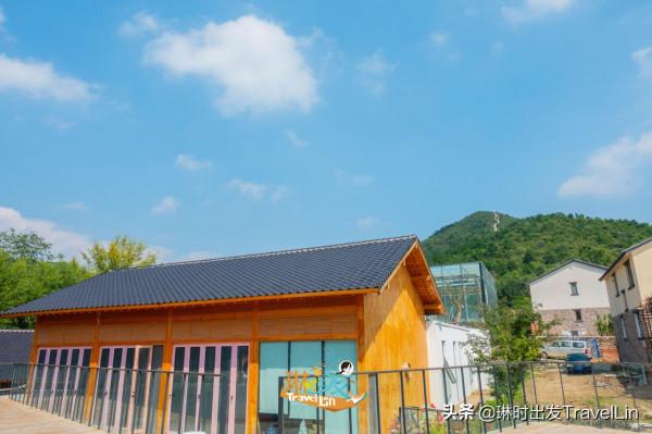 不去日本也能看“貓島”啦:大吉祥村貓公館 不去日本也能看“貓島”啦:大吉祥村貓公館