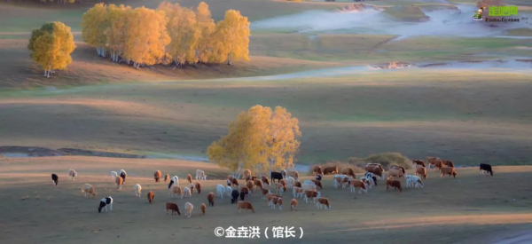 沿途皆如天堂!這10條深秋路線,去過一半就邂逅中國大半的美 沿途皆如天堂!這10條深秋路線,去過一半就邂逅中國大半的美