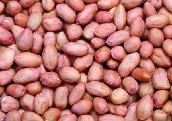 山東一男子堅持吃花生米養胃,半年之後身體會出現什麼樣的變化? 山東一男子堅持吃花生米養胃,半年之後身體會出現什麼樣的變化?