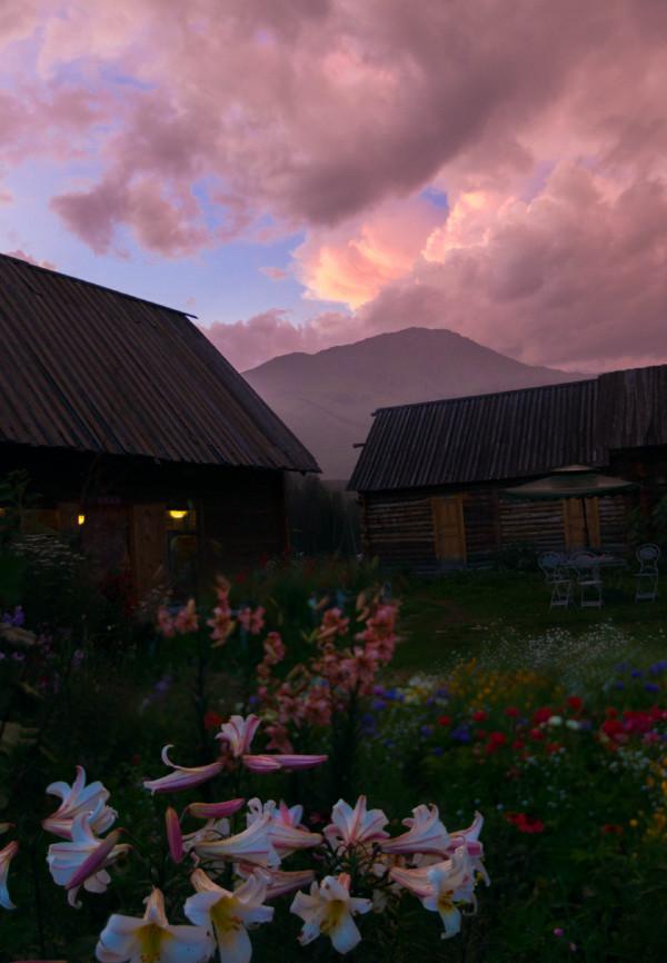 多少人的夢想!湖南姑娘用5年,在新疆禾木打造了個絕美花園 多少人的夢想!湖南姑娘用5年,在新疆禾木打造了個絕美花園