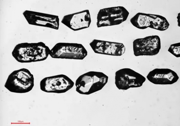 他們不混飯圈，卻在成為“頂流”