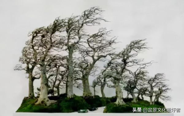 吹出來的盆景，動感十足