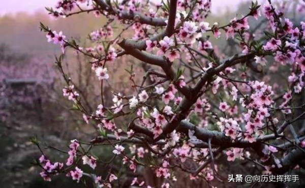 《桃花源記》講述的並非是人間仙境，文中3個細節，揭露隱藏真相