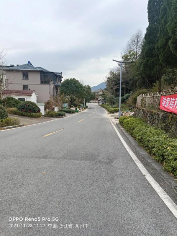 銀杏長廊,燦燦金黃 銀杏長廊,燦燦金黃