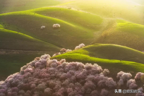 國內34省區最值得去的地方，個個都美得有魔力，此生不去心不安