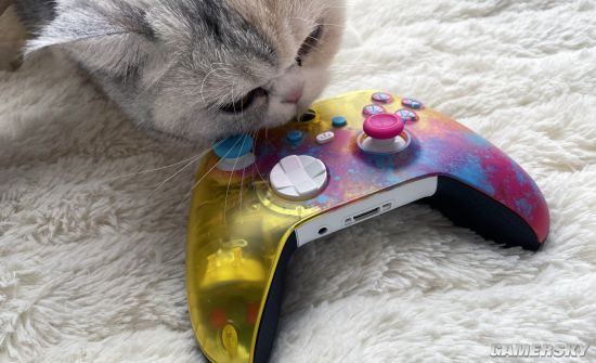 粉末煙花 遊民開箱《極限競速:地平線5》限量手柄 粉末煙花 遊民開箱《極限競速:地平線5》限量手柄