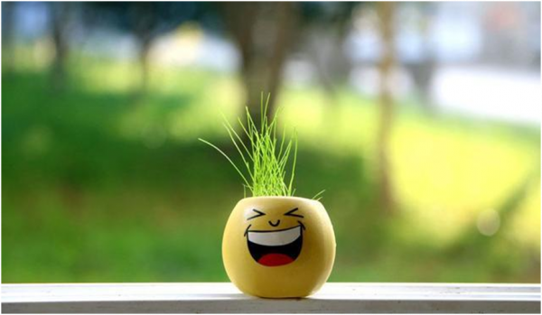 為什麼冬季高發慢阻肺？要怎樣預防？