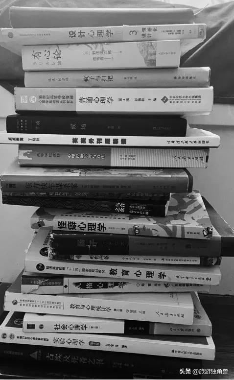 旅遊獨角獸運營小白的這一年 旅遊獨角獸運營小白的這一年