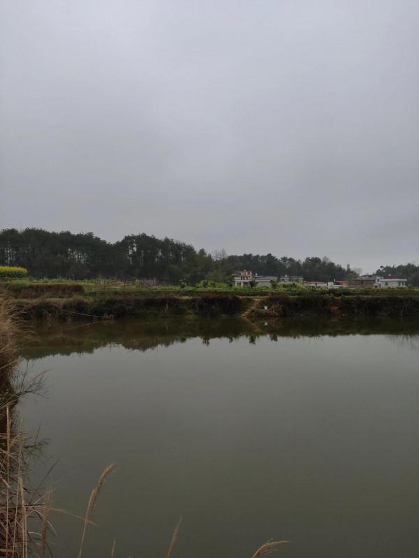 釣魚往事如煙(三)