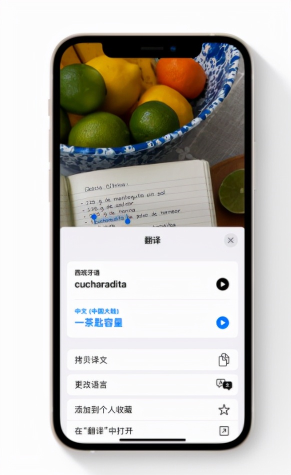IOS15正式版來了,擁有這些新功能你會更新嗎? IOS15正式版來了,擁有這些新功能你會更新嗎?