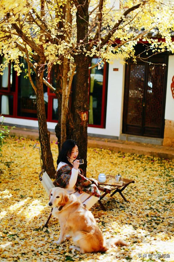 地上不夠耍要上房頂