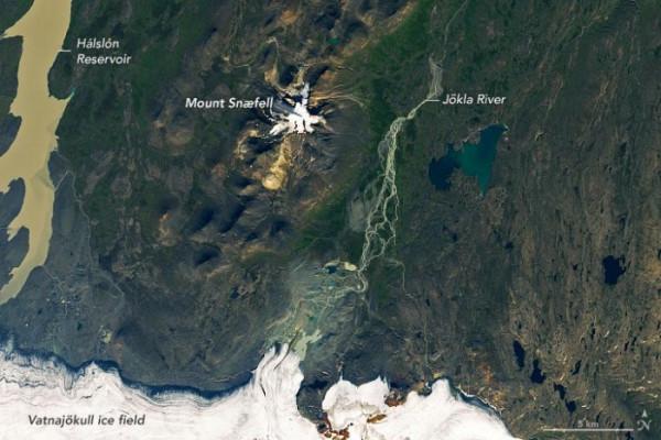 研究發現成群的野生馴鹿在冰島東部繁衍生息