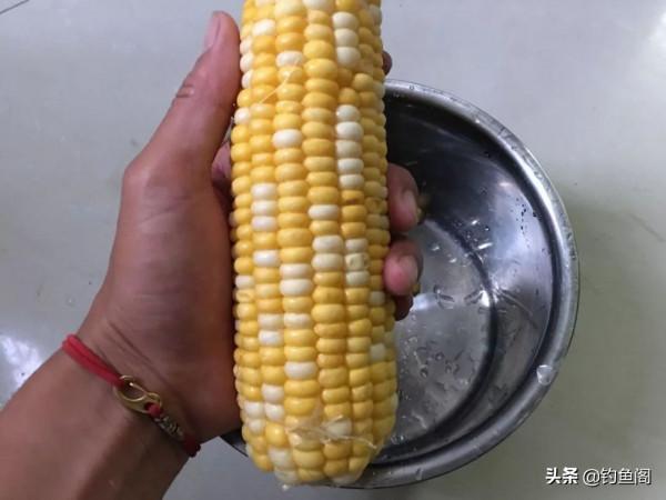 鮮玉米做釣餌這樣加工一下,魚愛吃又方便攜帶,不比買的差 鮮玉米做釣餌這樣加工一下,魚愛吃又方便攜帶,不比買的差