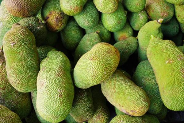 在這裡我毫不焦慮，還實現了水果自由