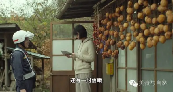 走進小森林之秋季篇