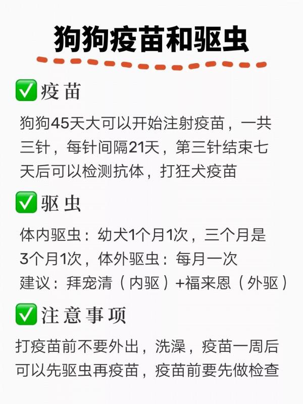 養狗警告！這些基礎的常識一定要清楚