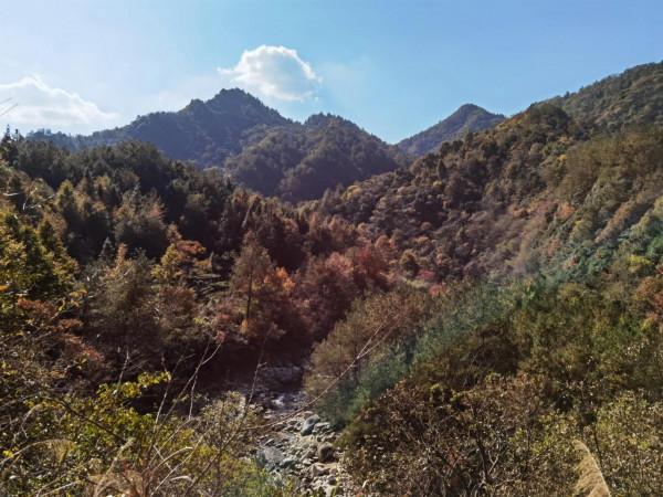 秋染大別山，最美是英山