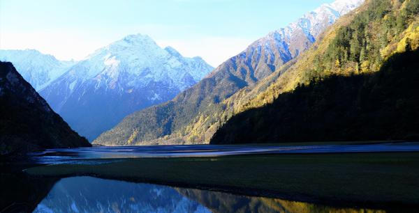 四川又發現一人間仙境，樹還會走路？還是瀕危動物的棲息地