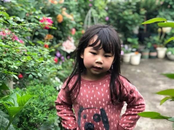 （2019）園丁獎露臺組《003號》一卷花薔 沉澱的時光