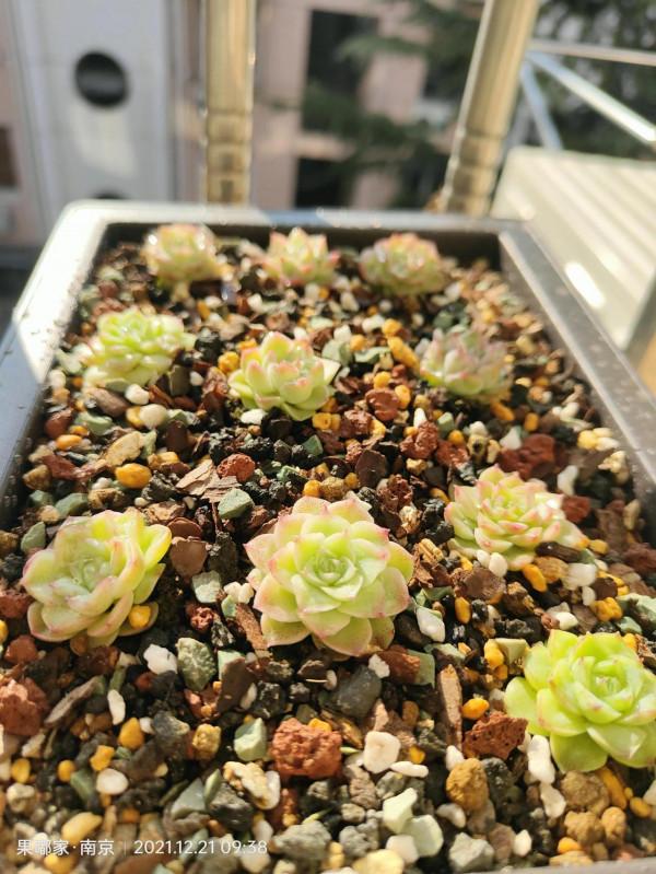 最近降溫，大家注意保暖哦