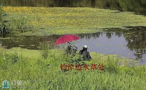 影響釣魚的10大因素