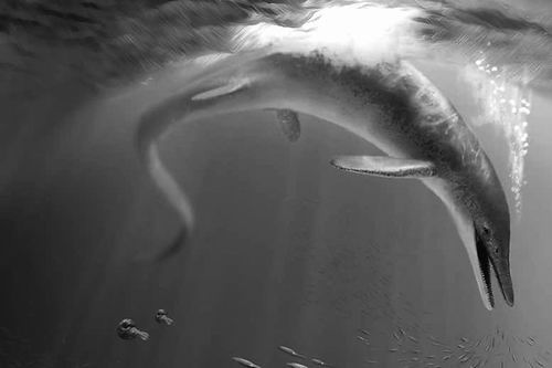 魚龍入海急速瘋長