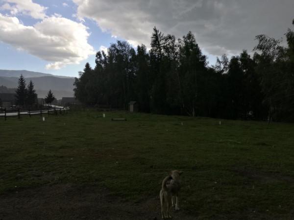 大美新疆八月全程遊記7：禾木印象-上（禾木橋、小木屋，下冰雹）