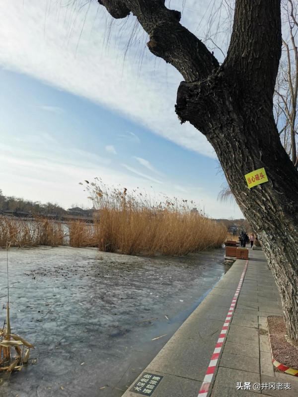 邂逅什剎海西海溼地公園 邂逅什剎海西海溼地公園