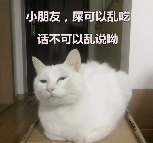 喵星人可愛表情包來了