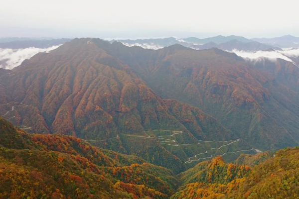 火速圍觀！新華社等多家媒體爭相報道雲端上的絕美秋色