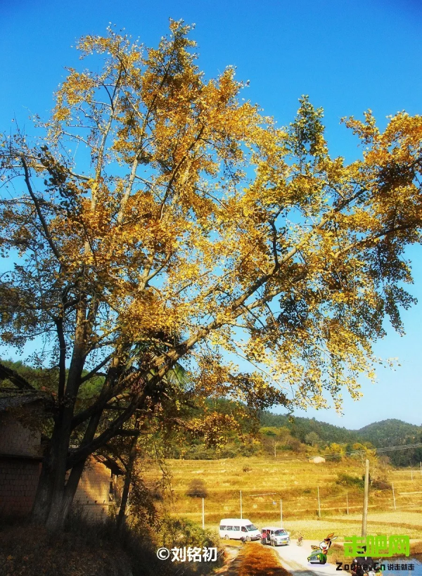 值得一去的11個古鎮，秋天風景宜人，美如畫卷！你最喜歡哪一個？